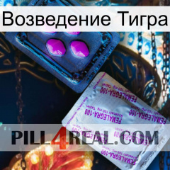 Возведение Тигра 37